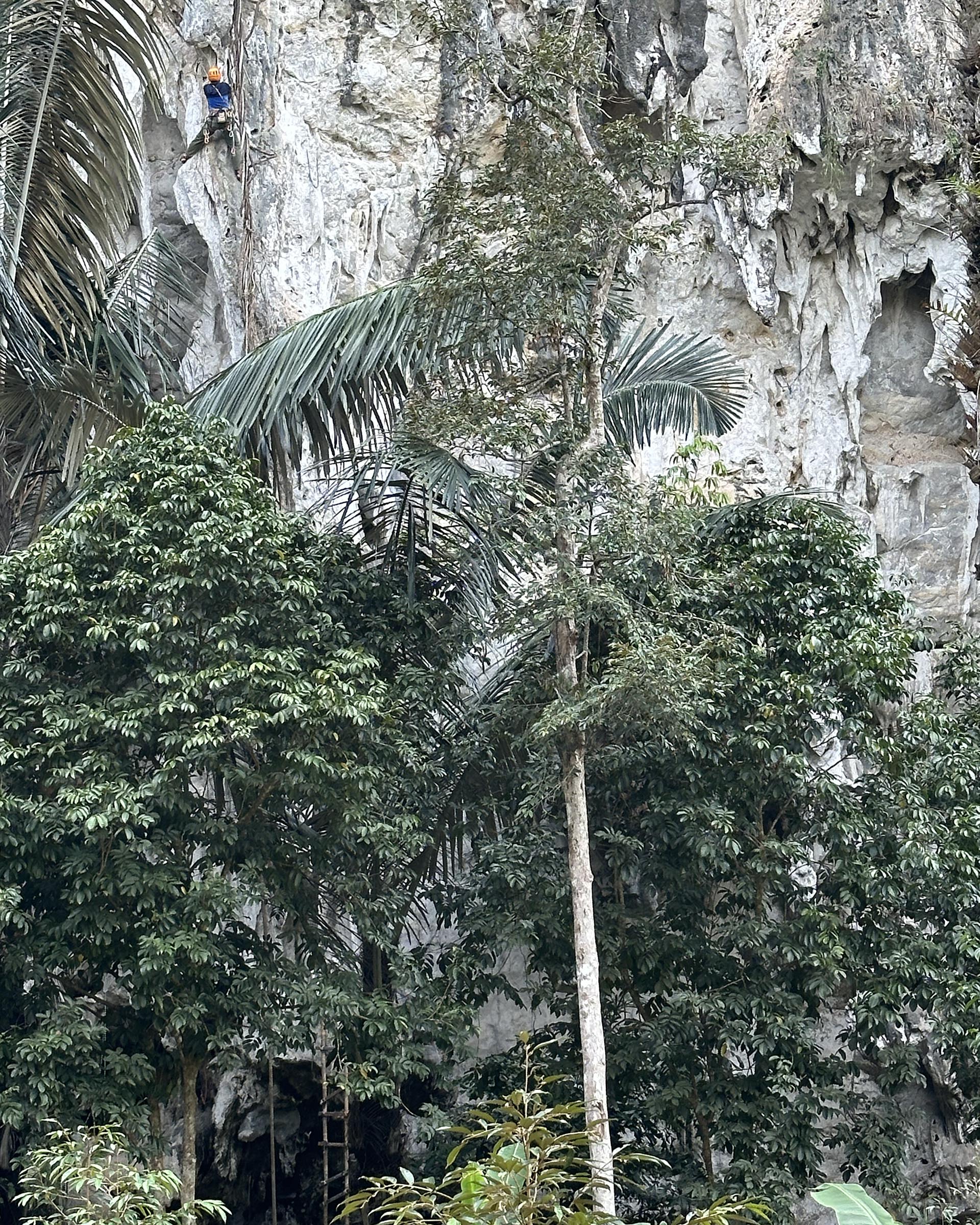 Queen of the highway, 6a+