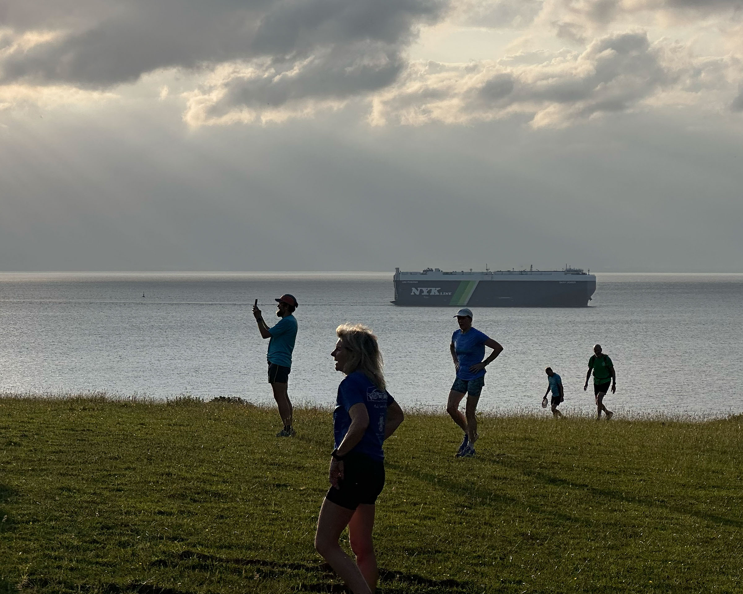 Town and Country Harriers I