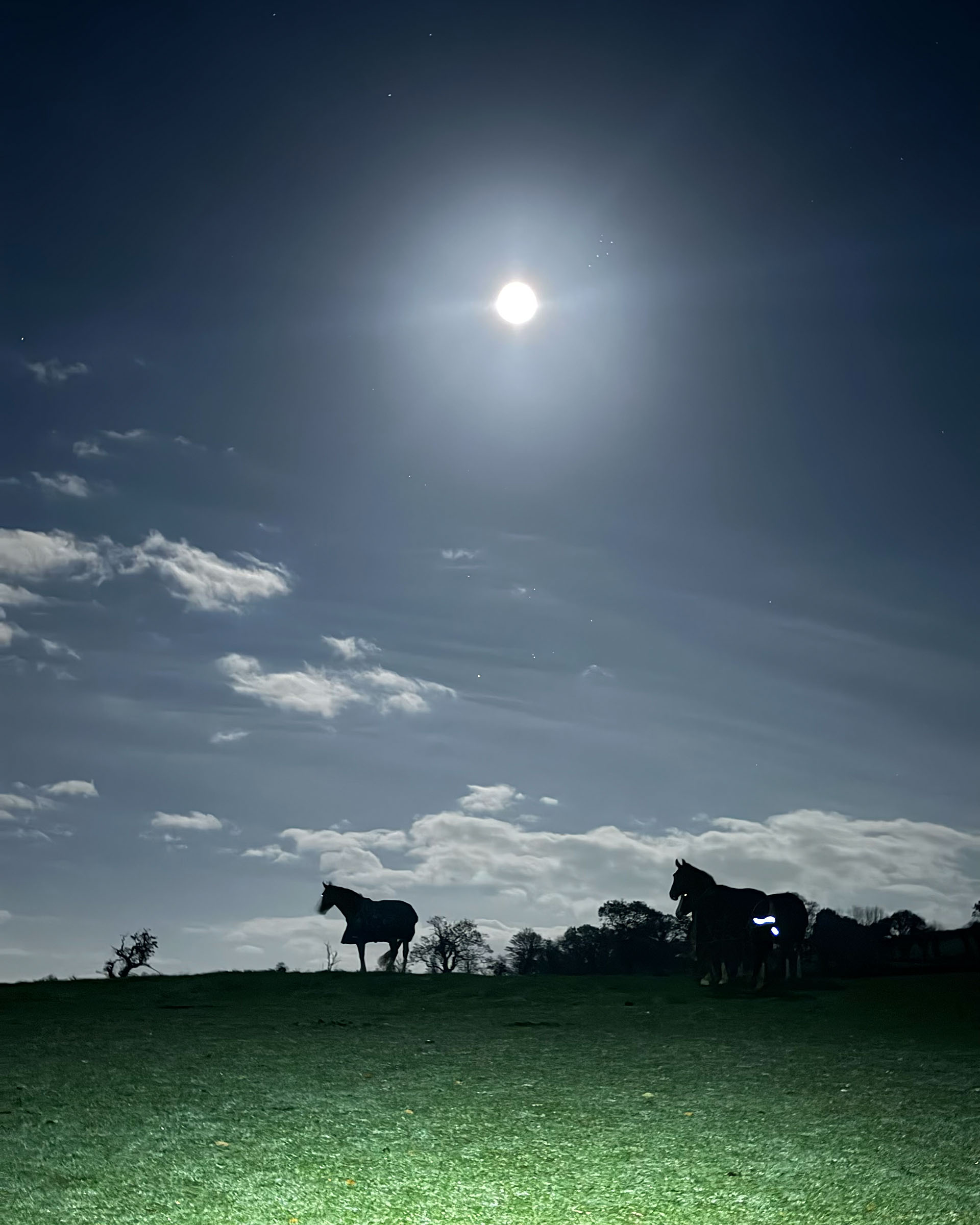 Town and Country Harriers III