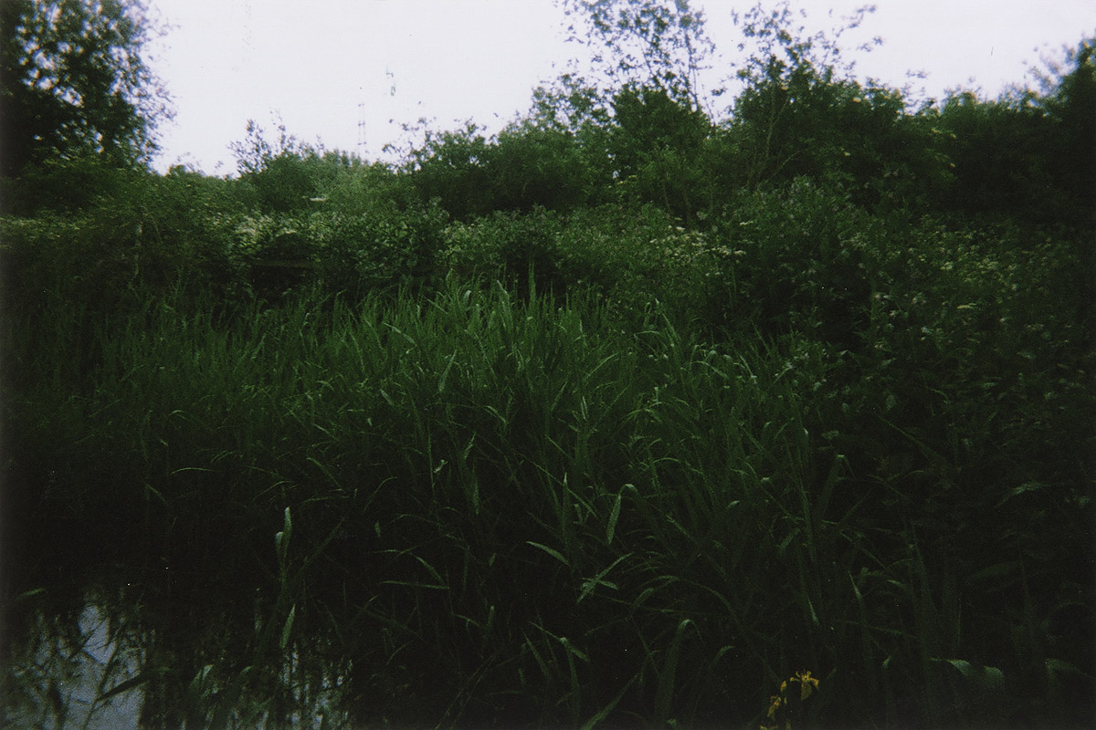 Walthamstow Marshes I